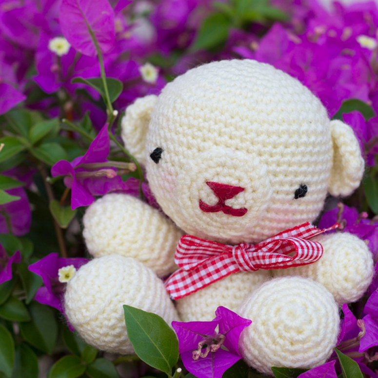Amigurumi con lana Caricia Bebe